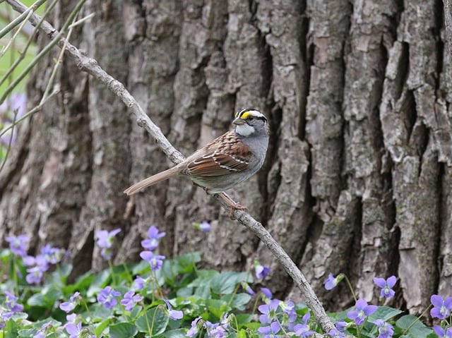 Gelişim İçin Geribildirim Kullanımı
